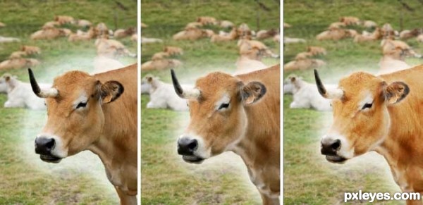 Creation of Unicow: Step 5