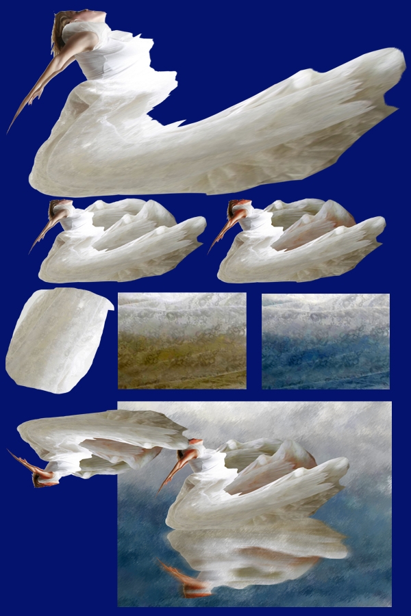 Creation of Laceswan: Step 1