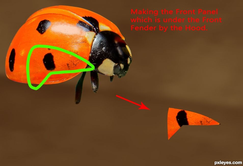 Creation of Bug From a Bug: Step 10