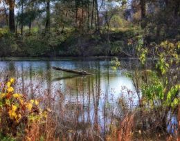 Restful Lake