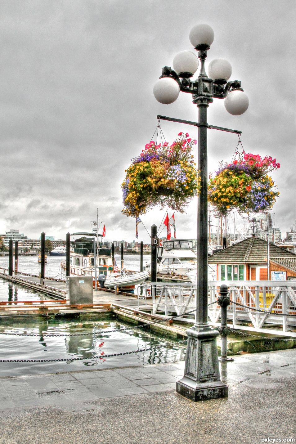 Street Lamp - Victoria BC