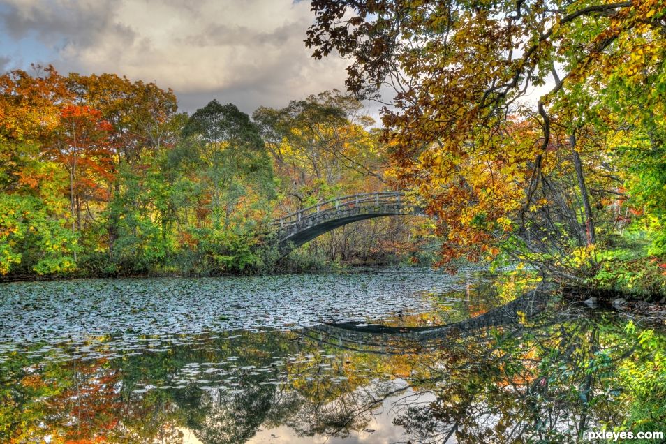 Fall by the Water