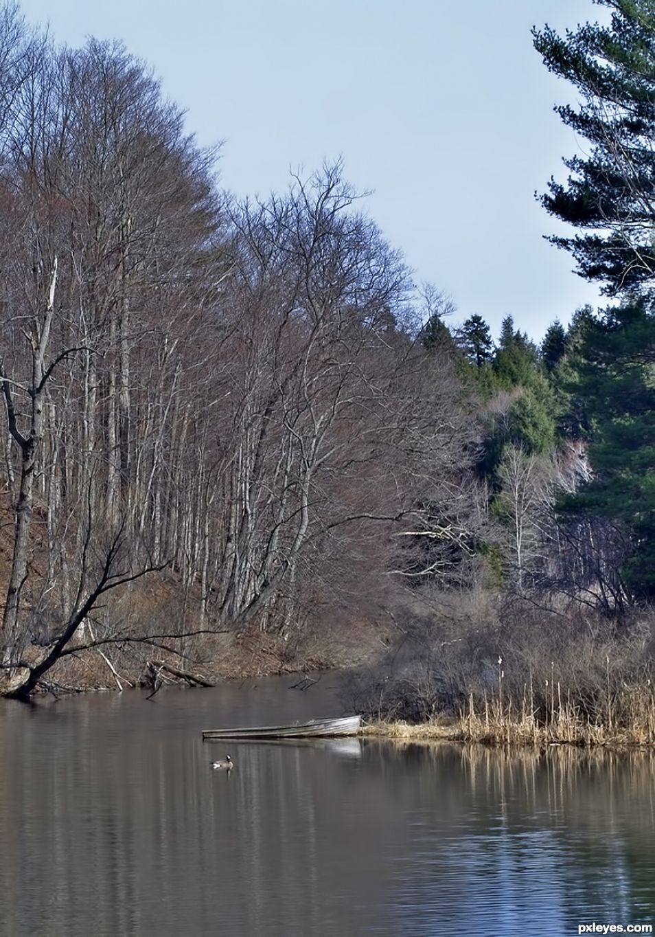 Autumn River Bank