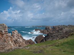 Ocean meets land of fangs