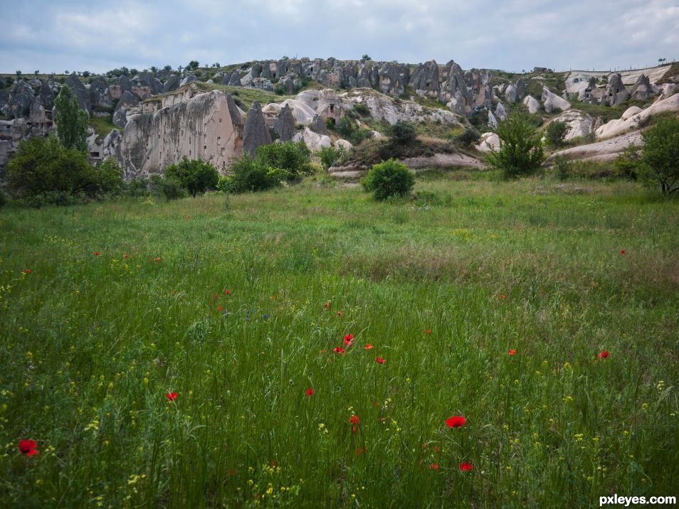 GomedÃ« valley