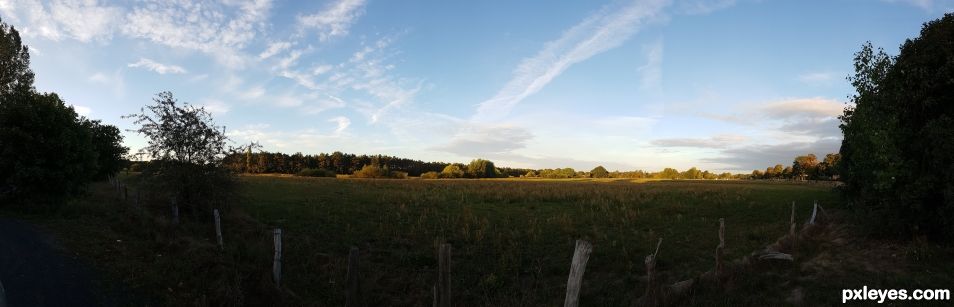 Sunny rural view