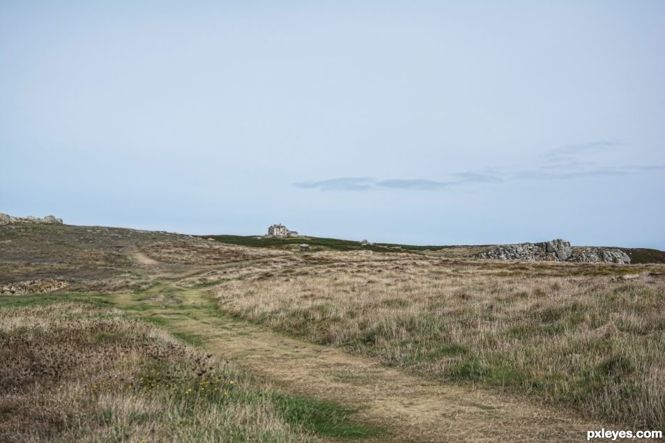 Along the cliffs