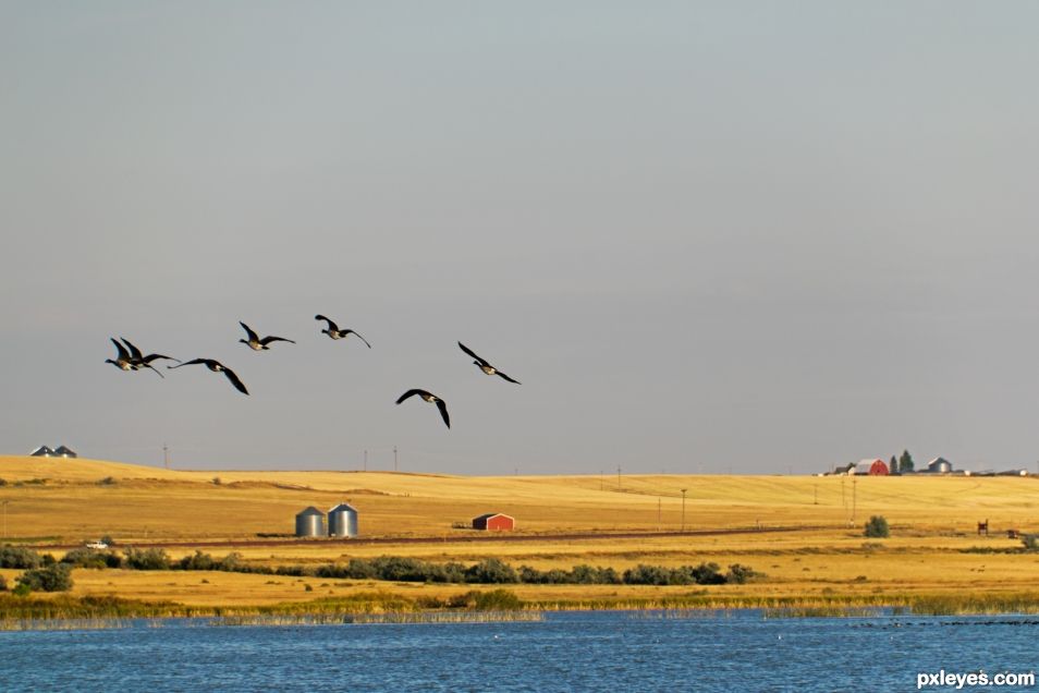 Freezeout Lake Montana