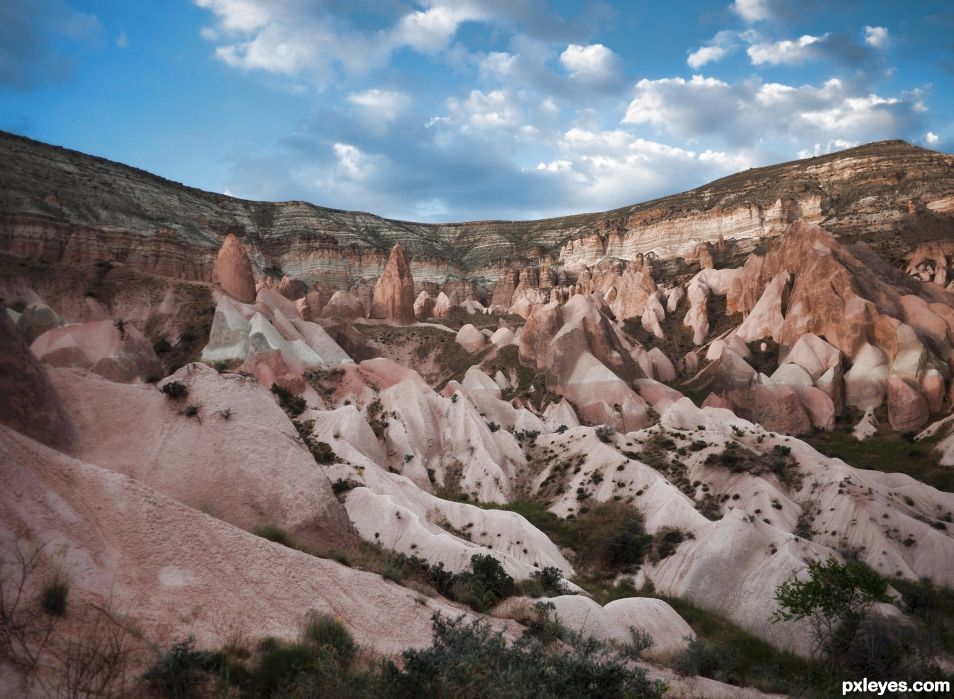 The Pink Valley