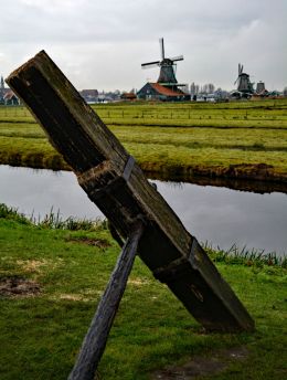 Dutch View