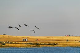 Freezeout Lake Montana