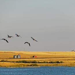 FreezeoutLakeMontana