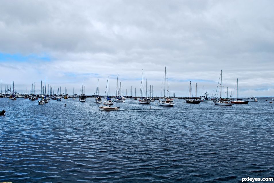 Sailboats at Fisherman’s Wharf