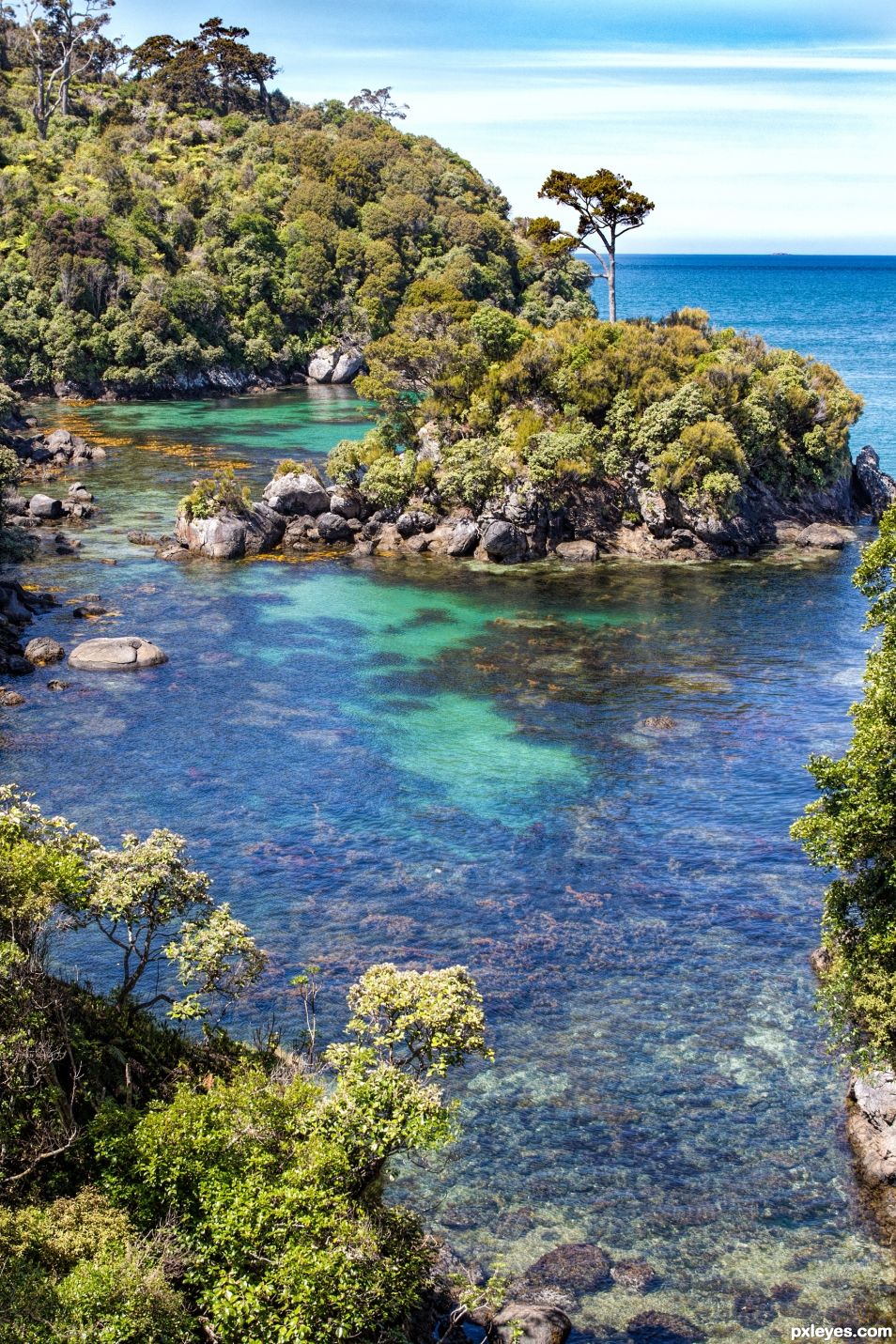 Rocky shore