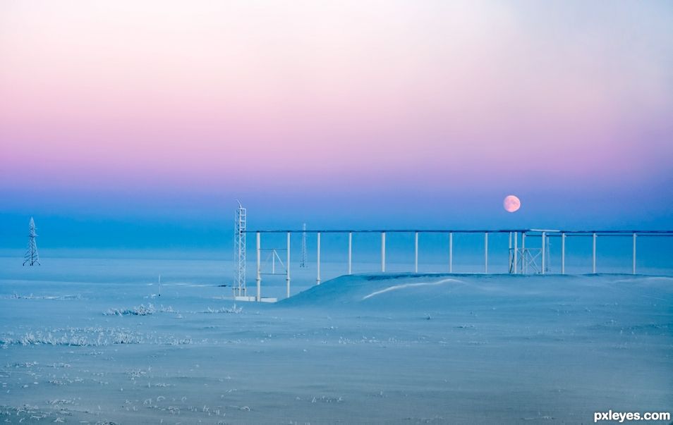 Chilling Landscape under the Cold Moon