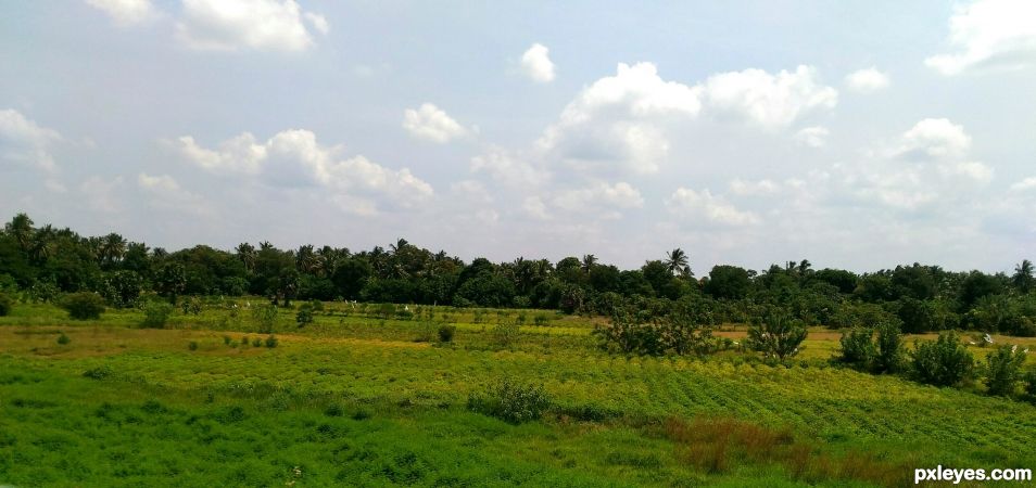 A train view