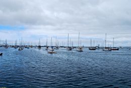 Sailboats at Fisherman’s Wharf