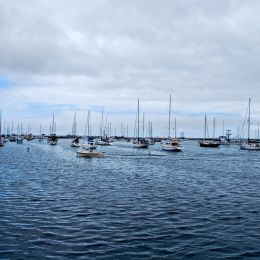 Sailboats at Fisherman’s Wharf Picture