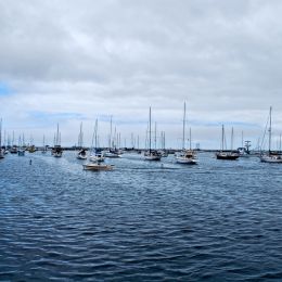 SailboatsatFishermansWharf