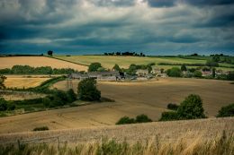 Local Countryside