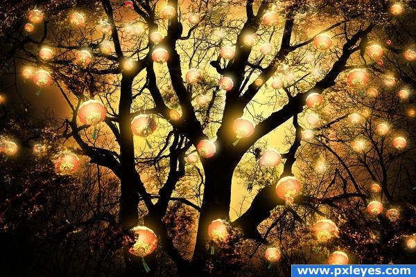 The Lanterns Tree