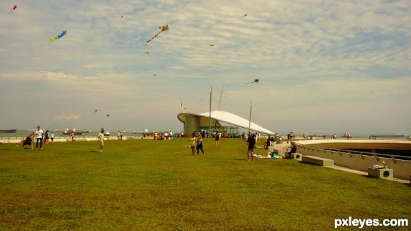 Kite flying at marina Barrage!