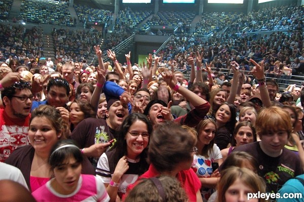 Paramore Concert Crowd