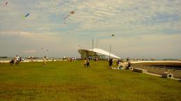 Kite flying at marina Barrage!