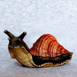 snailnewlook