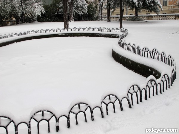 Garden fence