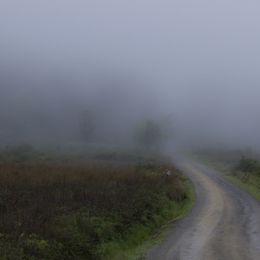 Hogsback South Africa Picture