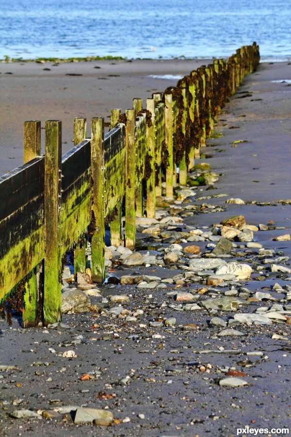 Beach Groyne