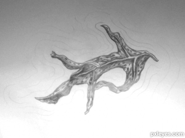 Creation of leaf on water: Step 6