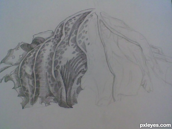 Creation of Leaf: Step 1