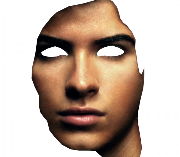 Creation of leaf face: Step 3