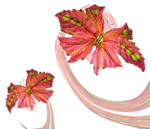 Creation of Butterflies: Step 4