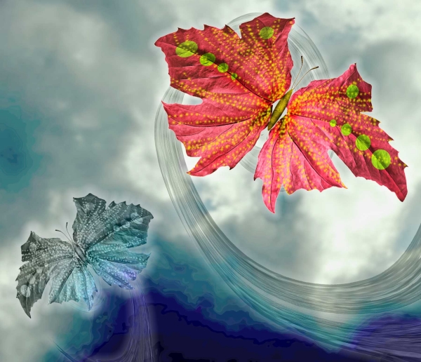 Creation of Butterflies: Step 6