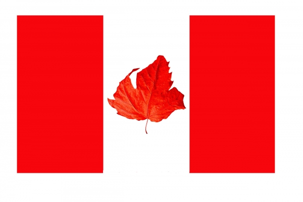 Creation of CANADIAN FLAG: Step 4