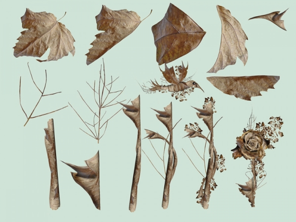 Creation of Onset Of Fall: Step 1