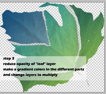 Creation of leafoshop: Step 3