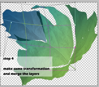 Creation of leafoshop: Step 4