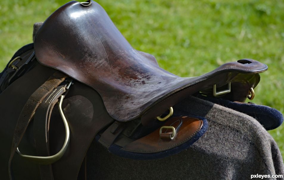 Saddle