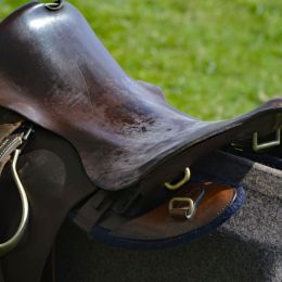 Saddle