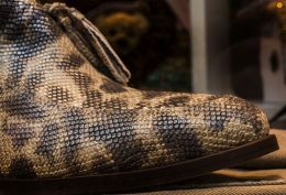 Real false lizard