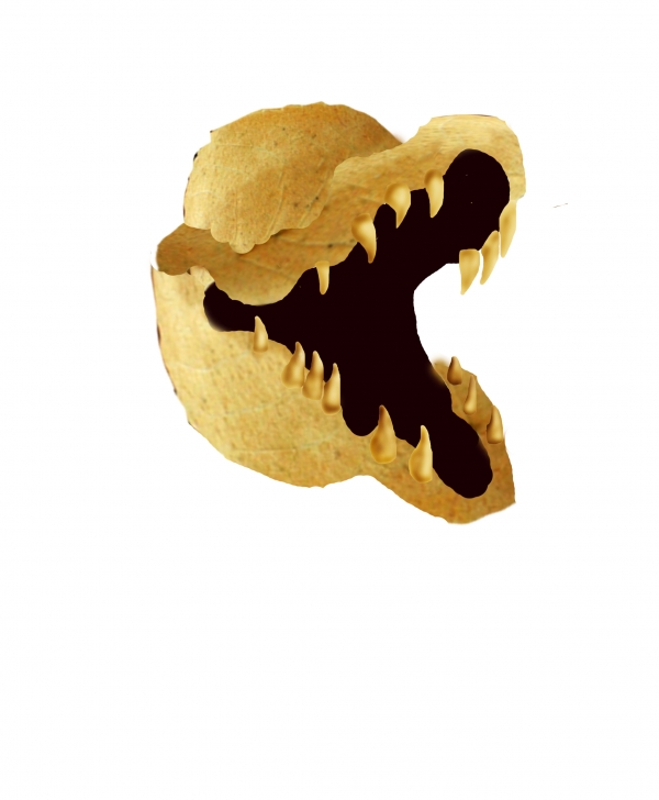 Creation of FEED ME!!!!!: Step 5