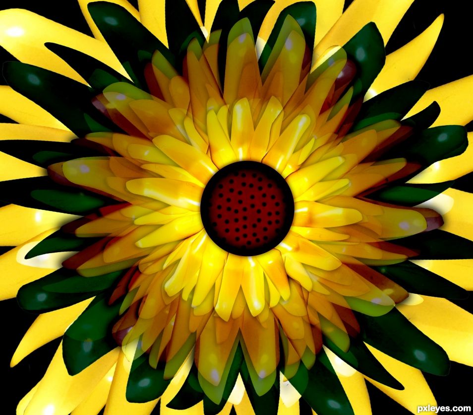 Creation of So Sunflowery: Final Result