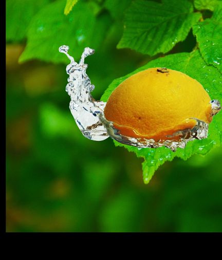 Creation of Lemon B. Slimey: Step 5