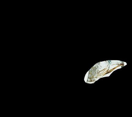 Creation of Lemon B. Slimey: Step 6
