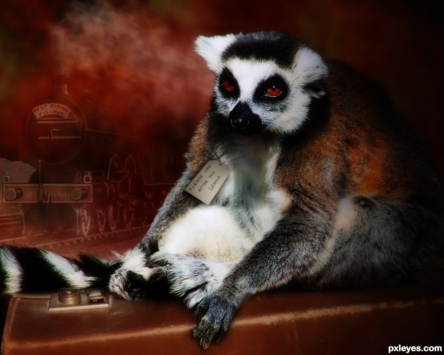 Creation of Please look after this lemur: Final Result