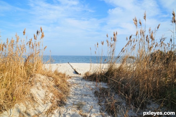 Beach